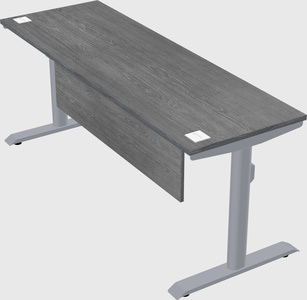 Dual motor electric desk