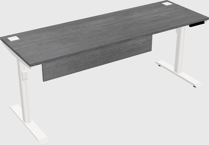 Dual motor electric desk