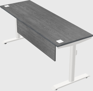 Dual motor electric desk