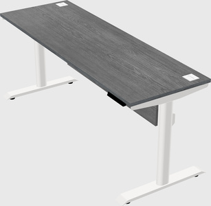 Dual motor electric desk