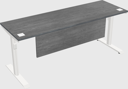 Dual motor electric desk