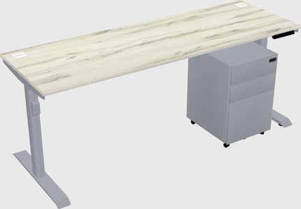 Dual motor electric desk