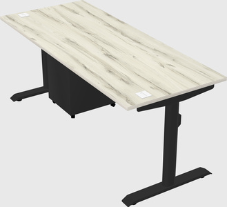 Dual motor electric desk