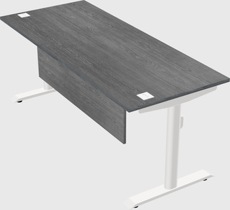 Dual motor electric desk