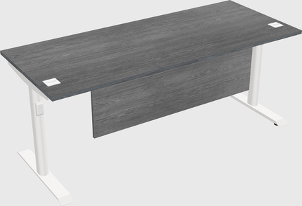Dual motor electric desk