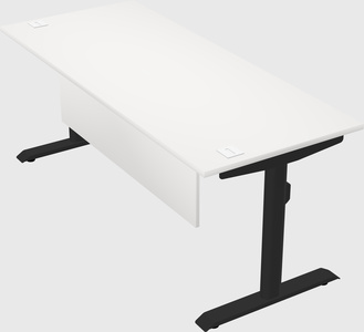 Dual motor electric desk