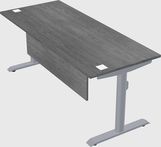 Dual motor electric desk
