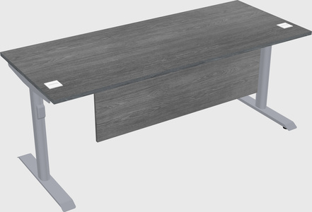 Dual motor electric desk