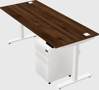 Dual motor electric desk