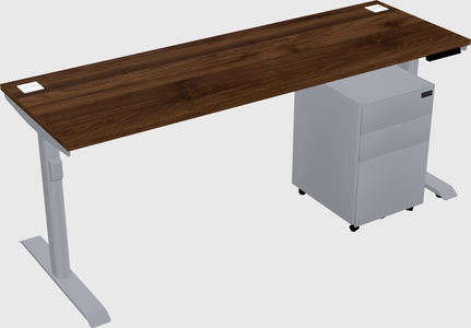 Dual motor electric desk