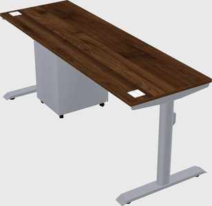 Dual motor electric desk