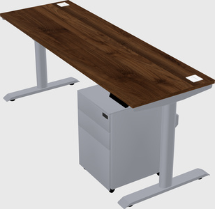 Dual motor electric desk