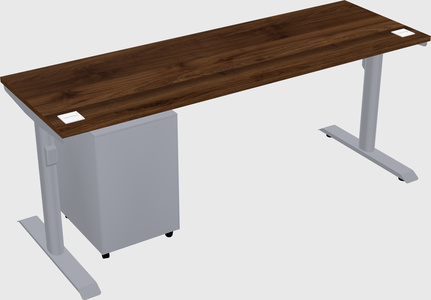 Dual motor electric desk