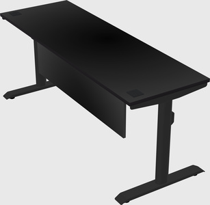 Dual motor electric desk