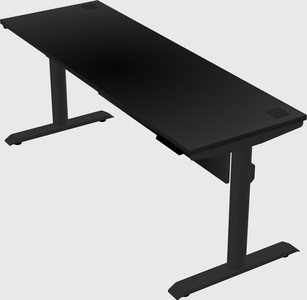 Dual motor electric desk