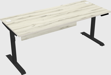 Dual motor electric desk