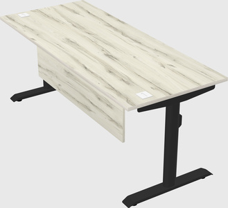 Dual motor electric desk