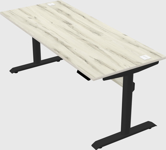 Dual motor electric desk