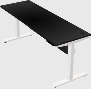 Dual motor electric desk