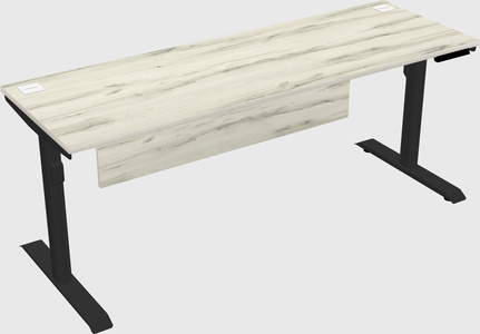 Dual motor electric desk