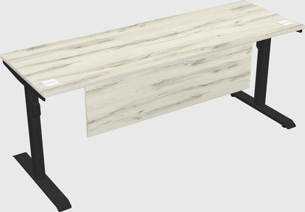 Dual motor electric desk
