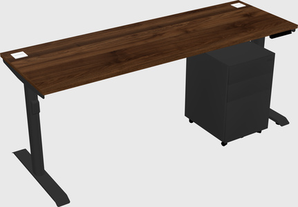 Dual motor electric desk