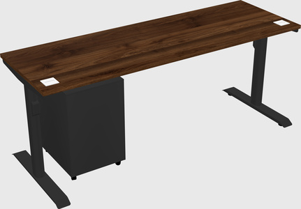 Dual motor electric desk