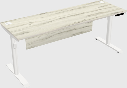 Dual motor electric desk