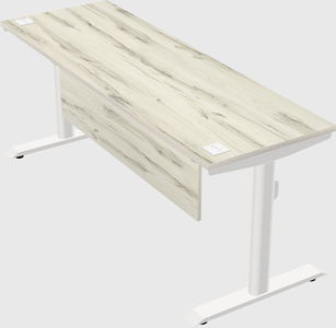 Dual motor electric desk