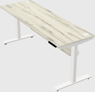 Dual motor electric desk