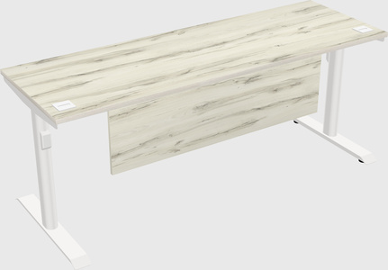 Dual motor electric desk
