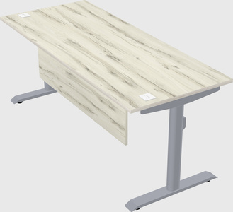 Dual motor electric desk