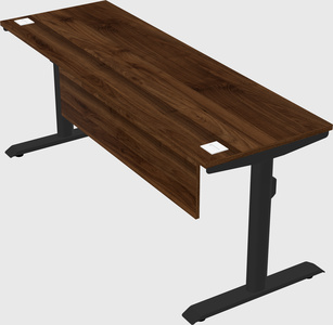Dual motor electric desk