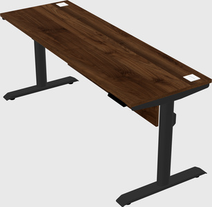 Dual motor electric desk