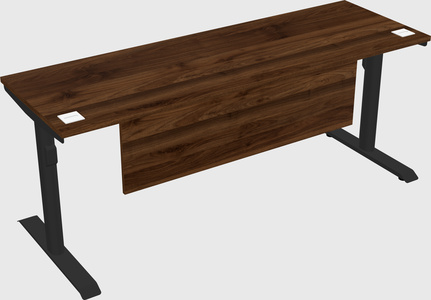 Dual motor electric desk