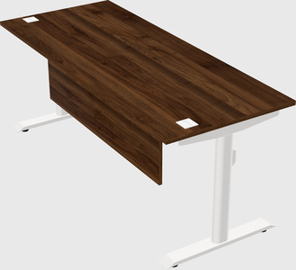 Dual motor electric desk