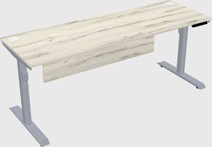 Dual motor electric desk