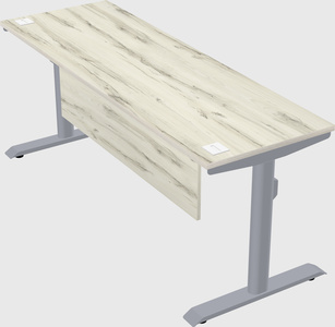 Dual motor electric desk