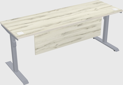 Dual motor electric desk