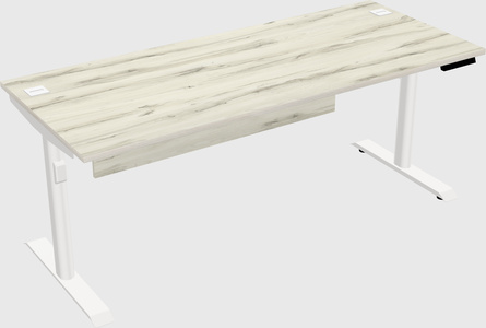 Dual motor electric desk