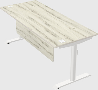 Dual motor electric desk
