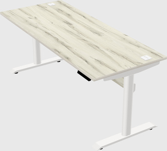 Dual motor electric desk