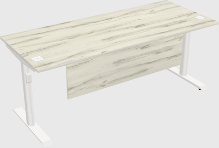Dual motor electric desk