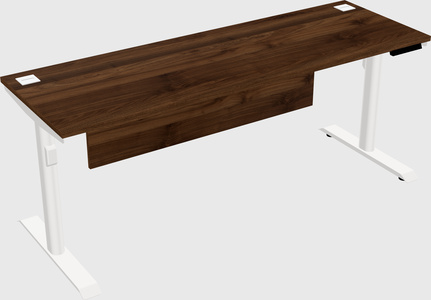 Dual motor electric desk
