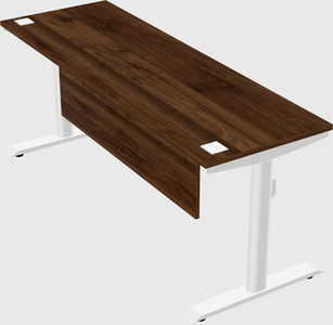 Dual motor electric desk