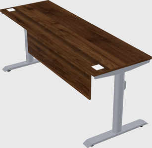 Dual motor electric desk