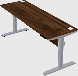 Dual motor electric desk