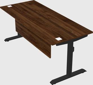 Dual motor electric desk