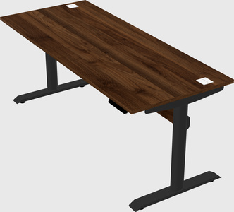 Dual motor electric desk