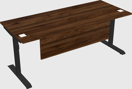 Dual motor electric desk